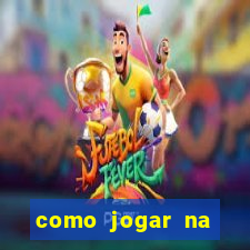 como jogar na lotinha do jogo do bicho